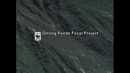 Wwf: Проект (goole Earth)