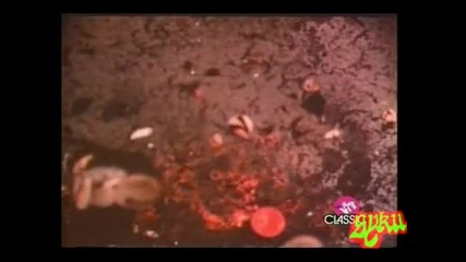 Pink Floyd - Brain Damage * High Quality