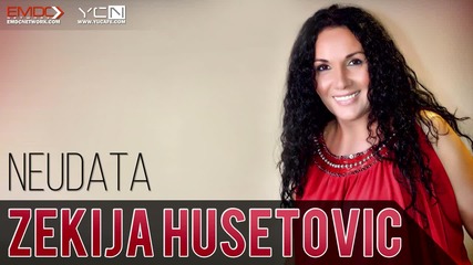 !!! Zekija Husetovic - 2016 - Neudata - Prevod