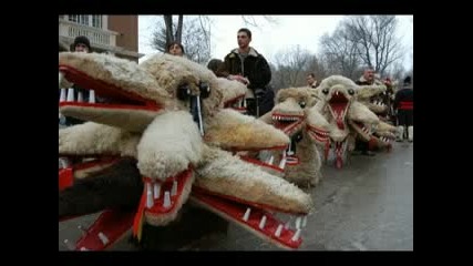 Сурова 2010