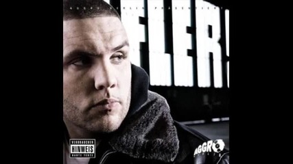 fler - scheiss auf dich feat hengzt 