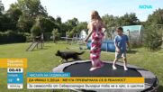 Все по-малко семейства с повече от две деца у нас, но има и изключения: Историята на семейство Тодорови