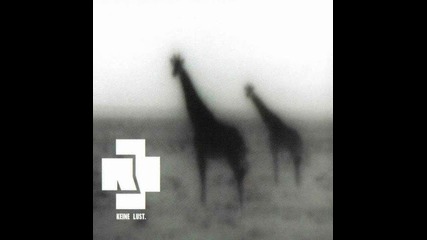 Rammstein - Keine Lust (black strobe remix)