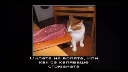 Смешни снимки Намерени из нета 1 {aii4utyy}