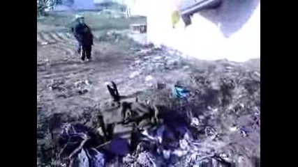Този Как Се Е Озовал Там