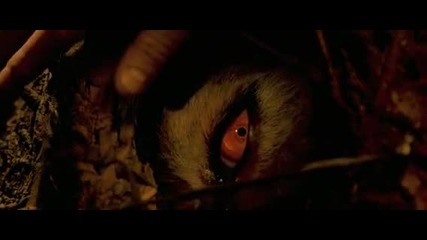 Братството на вълците - Бг аудио - (високо качество) част 3 (2001)