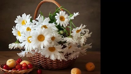 Любимите ми маргаритки за всички Вас! ... (music Ernesto Cortazar) ... ...