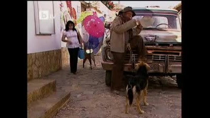 Bella Calamidades 23.1-bg