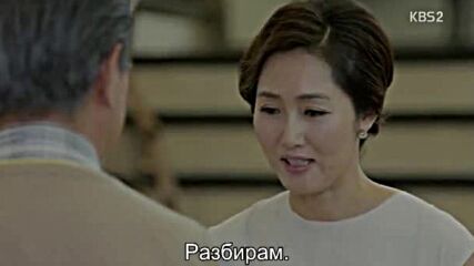 Акула E17