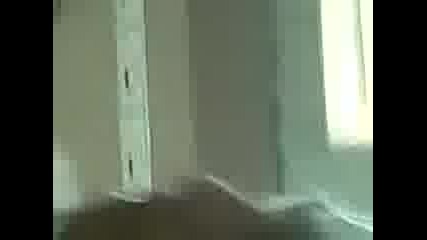 Видео000 