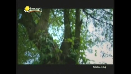 камелия радкова - заспала е малка мома