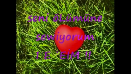 Askimsin sen Benim gul Yuzlu melegim...! - Youtube
