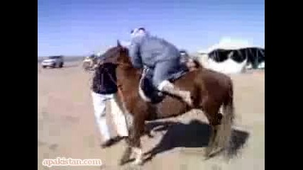 Дебел арабин пада от кон