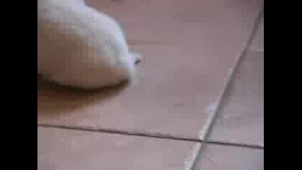 Maaammа гладни сме 