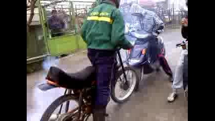pepi s balkana