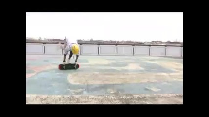 Freestyle Skateboarding - Луд със скейт 