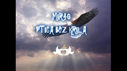 Mir40 - Птица без крила