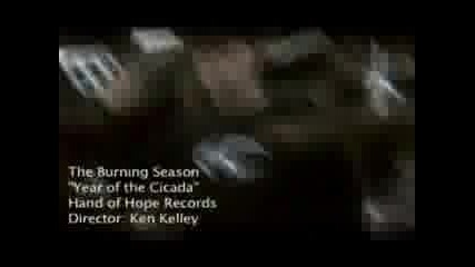 Burning Season - Year Of The Cicada