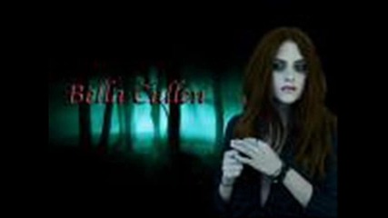 breaking dawn