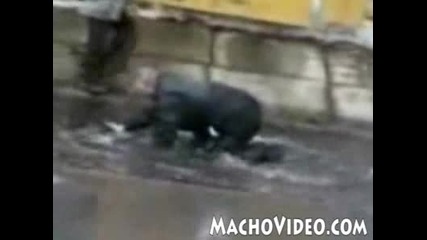 Много Пиян Мъж