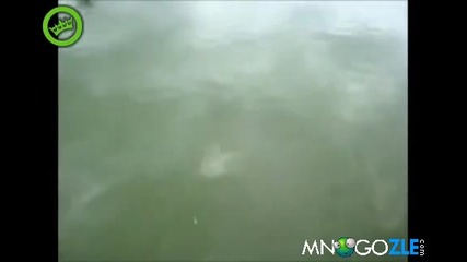 Сом хваща рибар в Бразилия ! Смях !