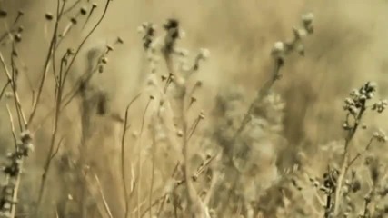 new Playmen-aceen feel you