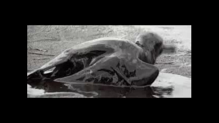 Linkin Park - What I've Done