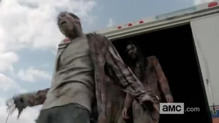 The Walking Dead Season 4 Cast