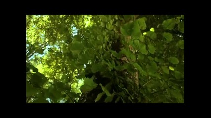 Нашата прекрасна природа 