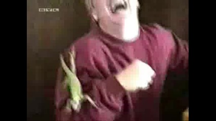 Смешни Животни И Хора