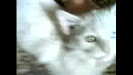 Bel4o Na San4o.3gp