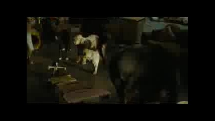 Hotel For Dogs Trailer *2009*
