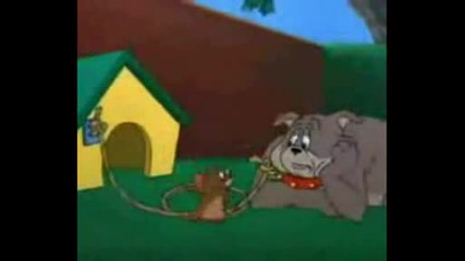 Tom i Jerry (parodia)