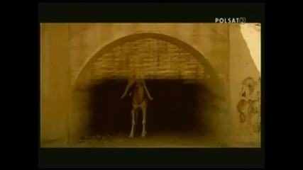 Antique - Opa Opa 