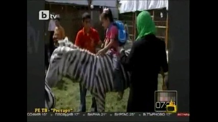 Господари на ефира 05.01.2010 