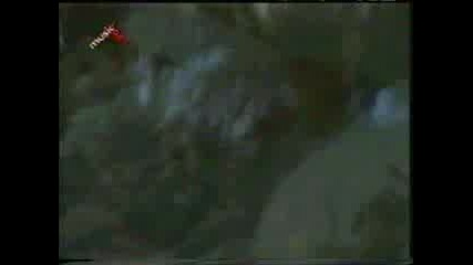 Venom - Nightmare
