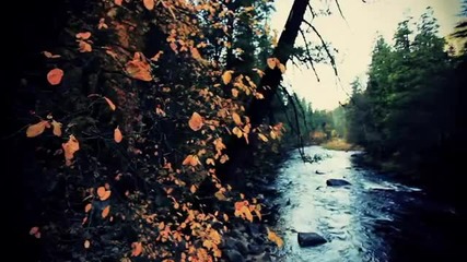 Martin Mittone - Autumn Sunset