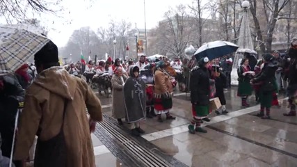 Сурва Перник 2014 03