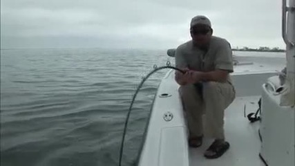 Near 8ft Giant Goliath Sea Bass Breaks Rod Big Game Fishing
