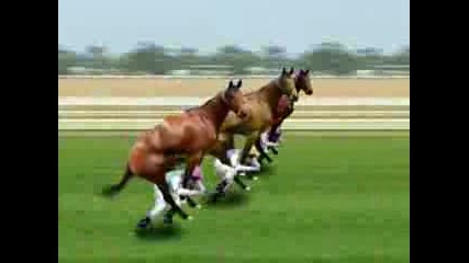 Sumo Horse Race - Another Cyriak Sumo Tv