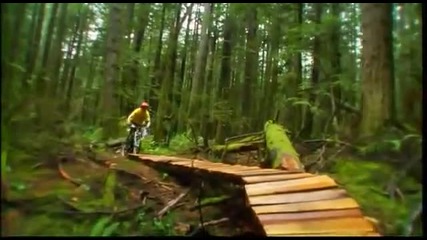 If Only Every Mountain Biking Video Was Shot Like This - Afrojacks.flv