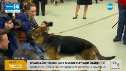 Кое е най-популярното куче в САЩ?