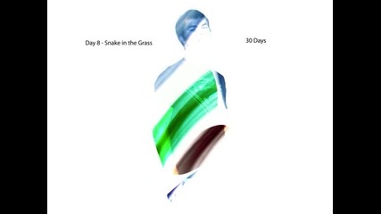 Day 8 - Snake in the Grass