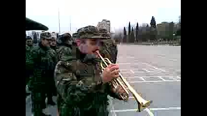 Novite trompeti