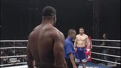 Alistair Overeem-peter Aerts