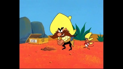 Warner Bros - 102464 Panchos Hideaway Lt 