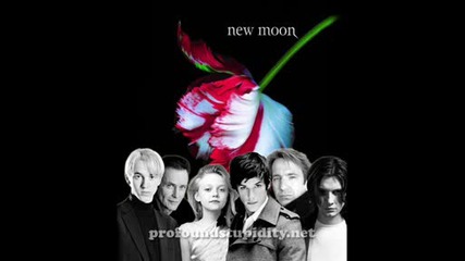 new moon
