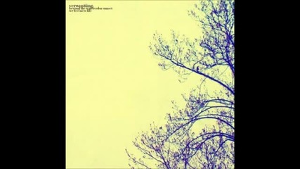 Verwustung - Beyond The Watercolor Sunset We Find New Life [full Album]