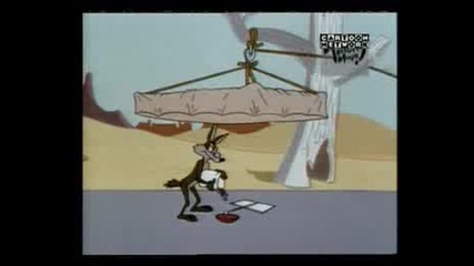 Road Runner