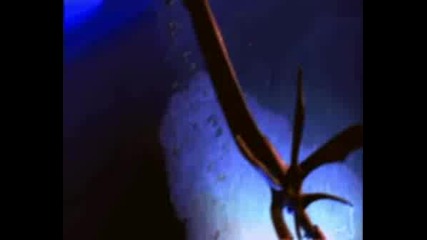 Fury of the XelNaga